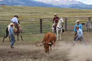 Bar Star Ranch, Park County, Colorado, for sale