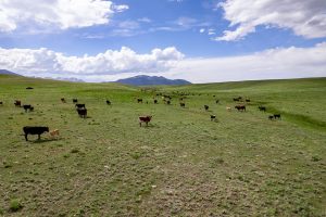 Bar Star Ranch, Park County, Colorado, for sale