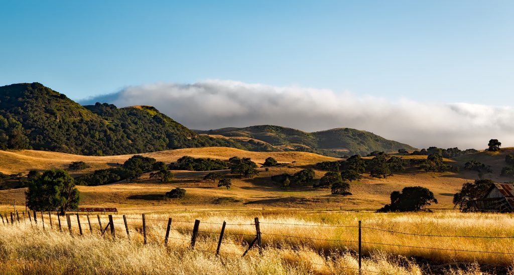 Shawnee Meadows Ranch