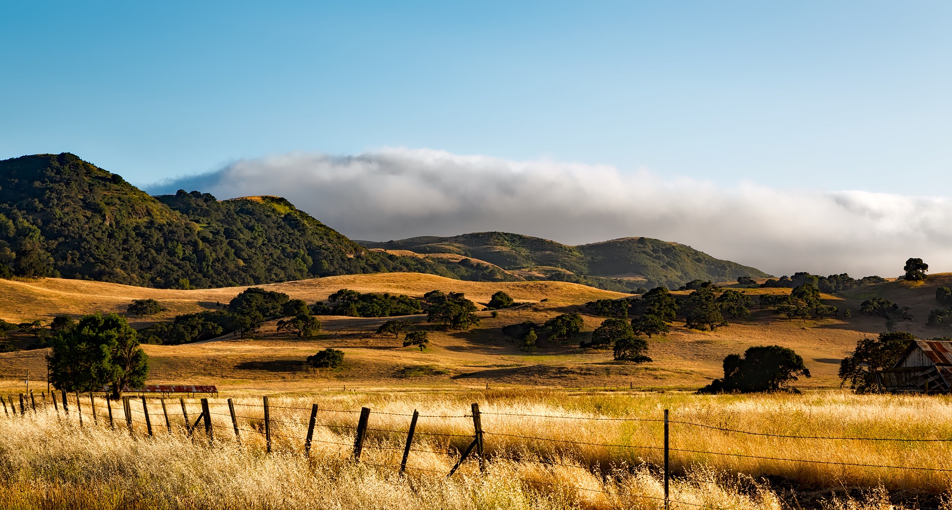 Shawnee Meadows Ranch — Shawnee, Colorado