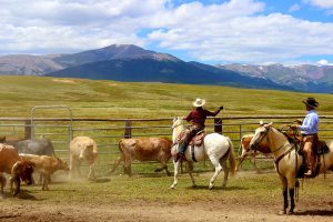 Reinecker Ridge Ranch, Park County, Colorado, for sale