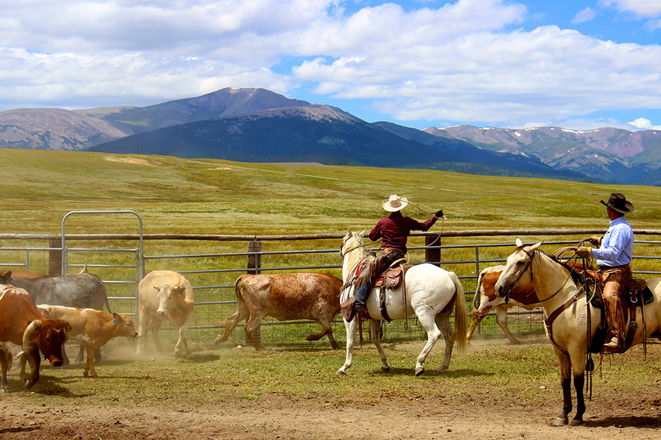 Reinecker Ridge Ranch