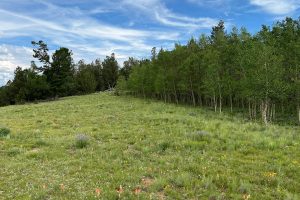 Reinecker Ridge Ranch, Park County, Colorado, for sale