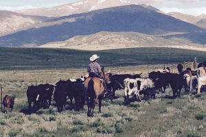 Reinecker Ridge Ranch, Park County, Colorado, for sale
