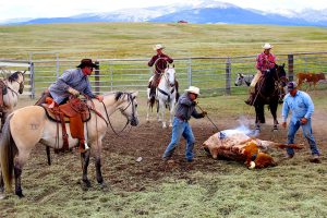 Reinecker Ridge Ranch, Park County, Colorado, for sale