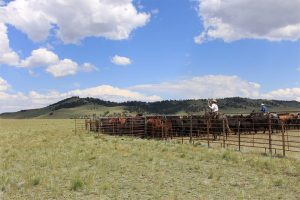 Reinecker Ridge Ranch, Park County, Colorado, for sale