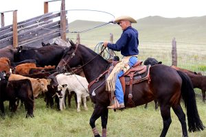 Reinecker Ridge Ranch, Park County, Colorado, for sale