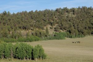 Reinecker Ridge Ranch, Park County, Colorado, for sale