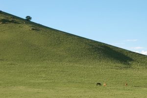 Reinecker Ridge Ranch, Park County, Colorado, for sale
