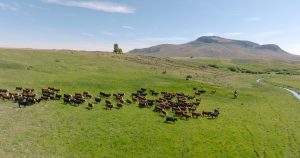 Butte Ranch, Jackson County, Colorado, sold by Confluence Land Company