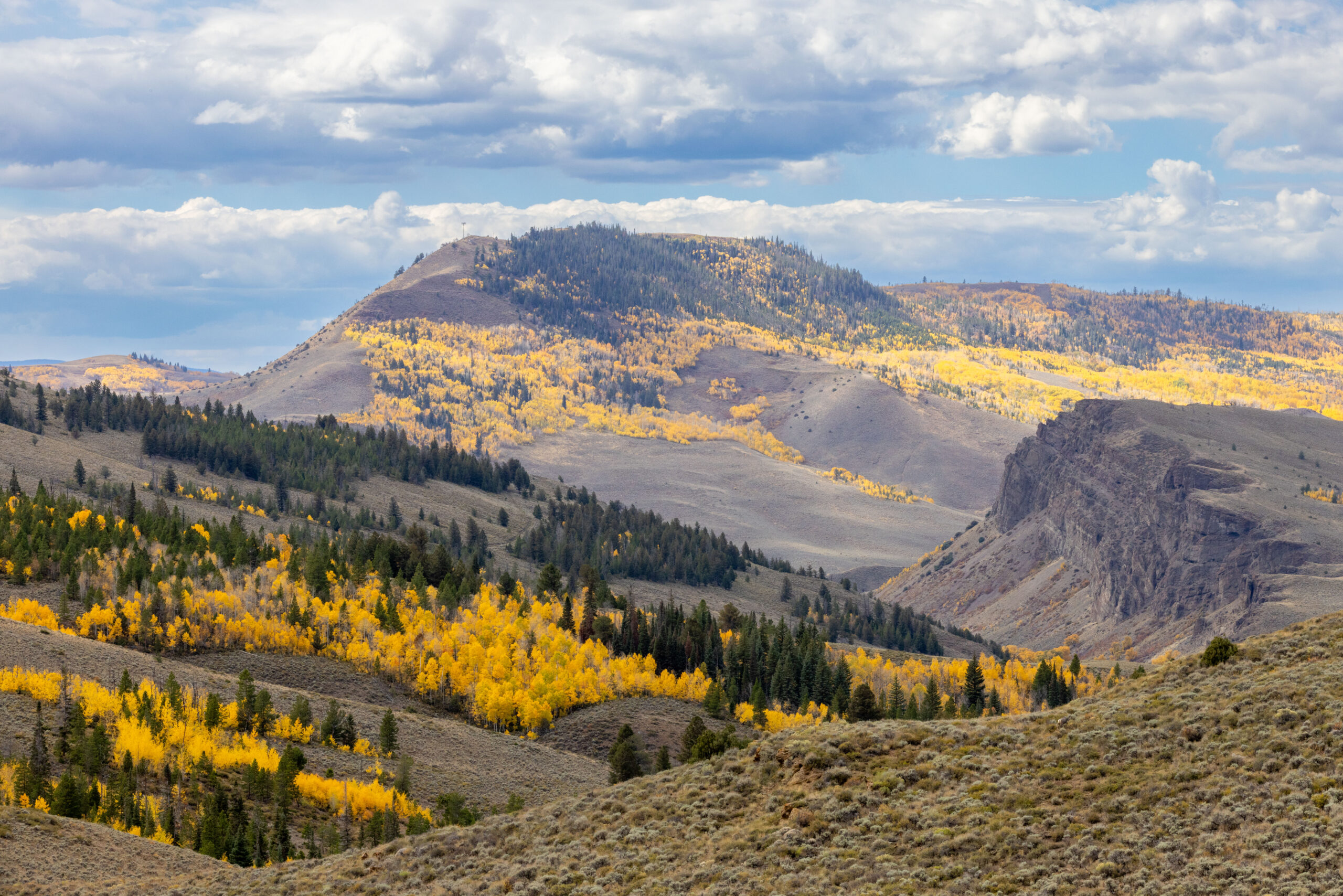 Wescott Ranch, Grand County, Colorado, for sale