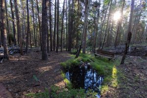 Cascade Ranch, Clear Creek County, Colorado, sold by Confluence Land Company