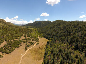 Ewell Canyon Ranch, Rio Arriba County, NM (photo 3 of 4)