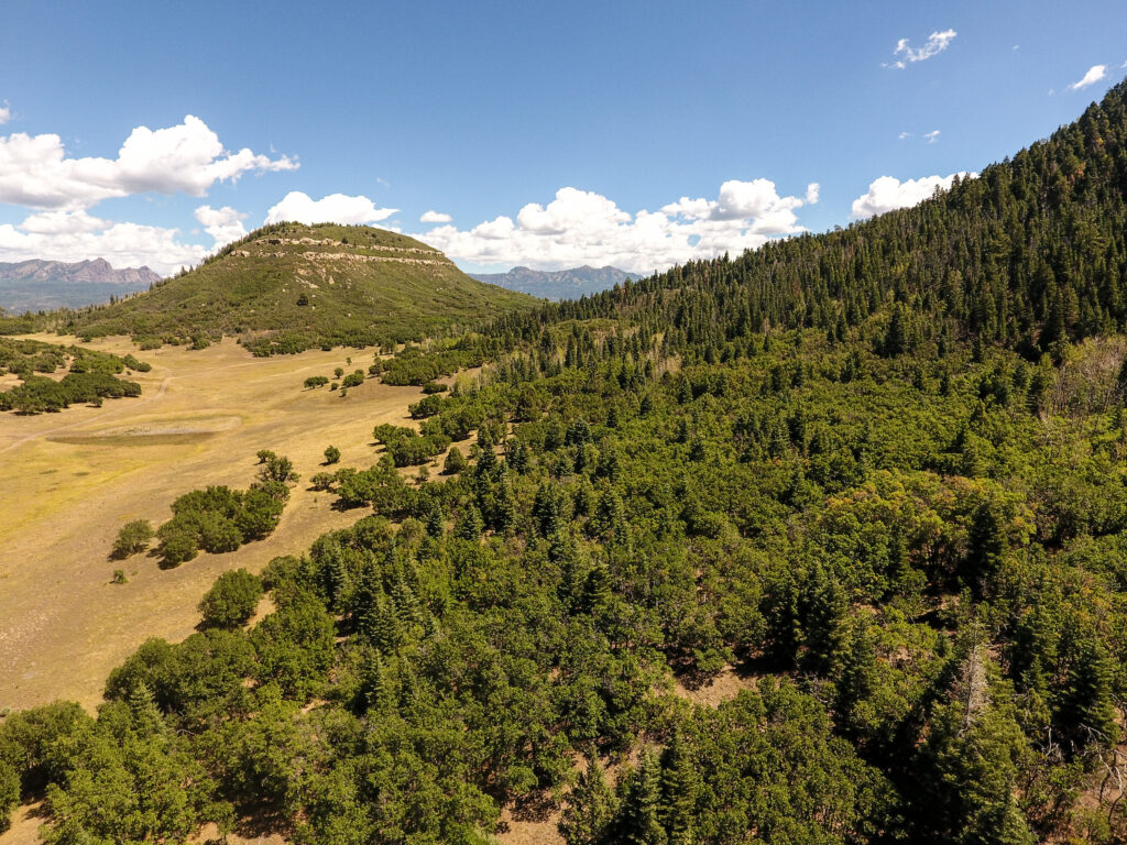 Ewell Canyon Ranch