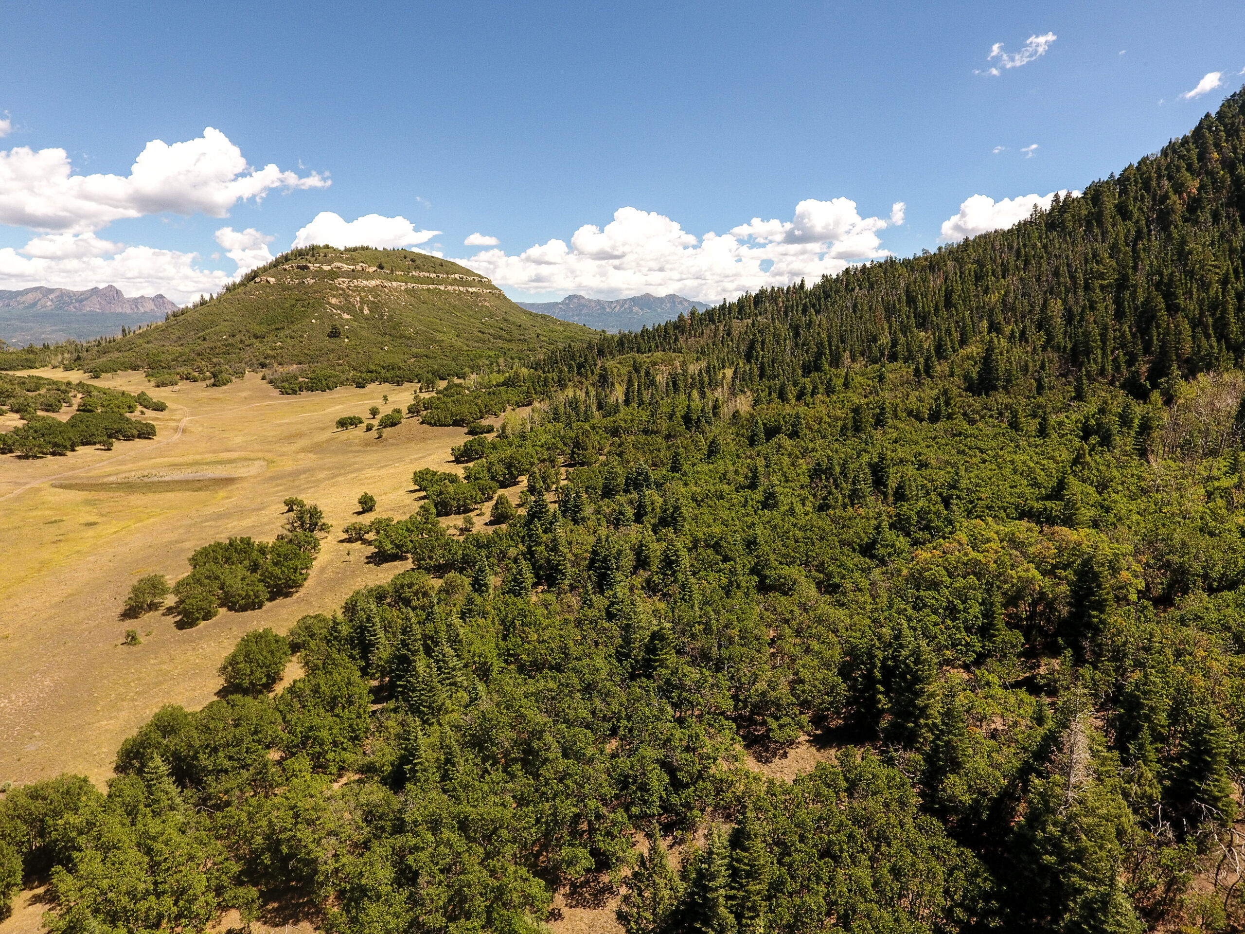 Ewell Canyon Ranch — Dulce, New Mexico