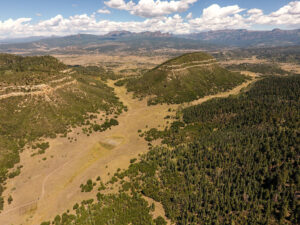 Ewell Canyon Ranch, Rio Arriba County, NM (photo 4 of 4)